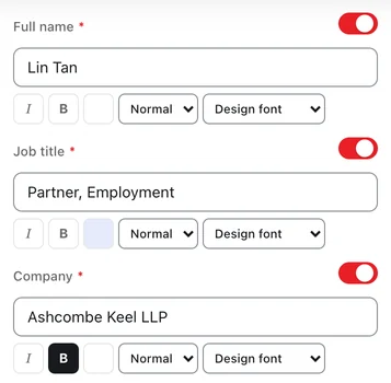 The builder's fields for a name, a job title and a company, each with its own styling.